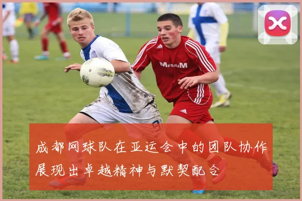 成都网球队在亚运会中的团队协作展现出卓越精神与默契配合