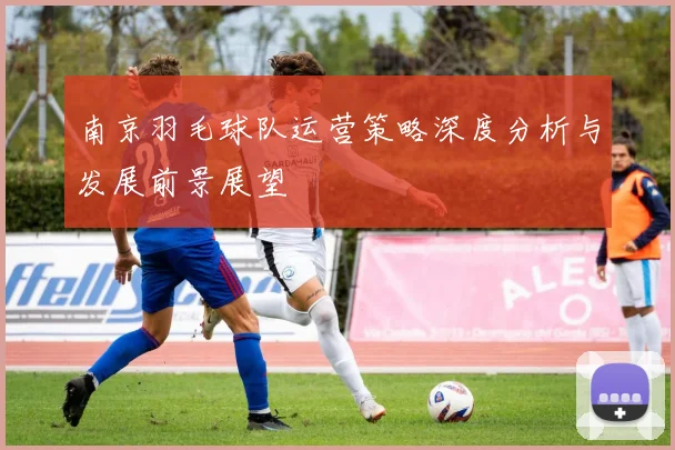 南京羽毛球队运营策略深度分析与发展前景展望