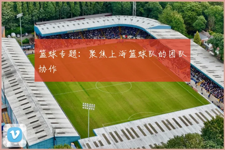 篮球专题：聚焦上海篮球队的团队协作