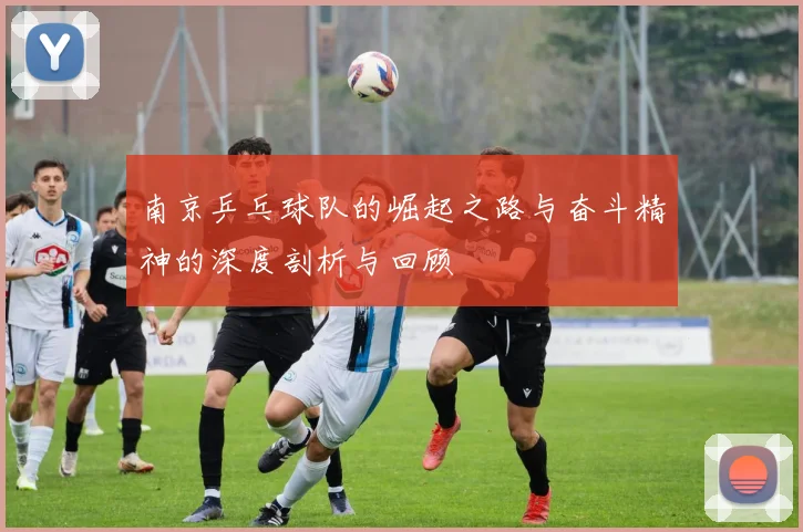 南京乒乓球队的崛起之路与奋斗精神的深度剖析与回顾