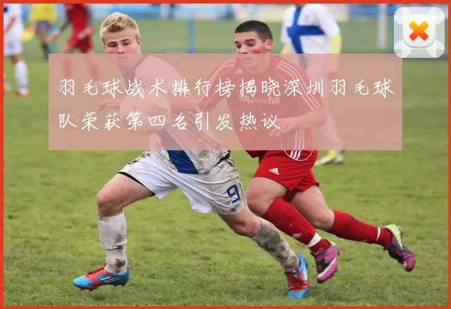 羽毛球战术排行榜揭晓深圳羽毛球队荣获第四名引发热议