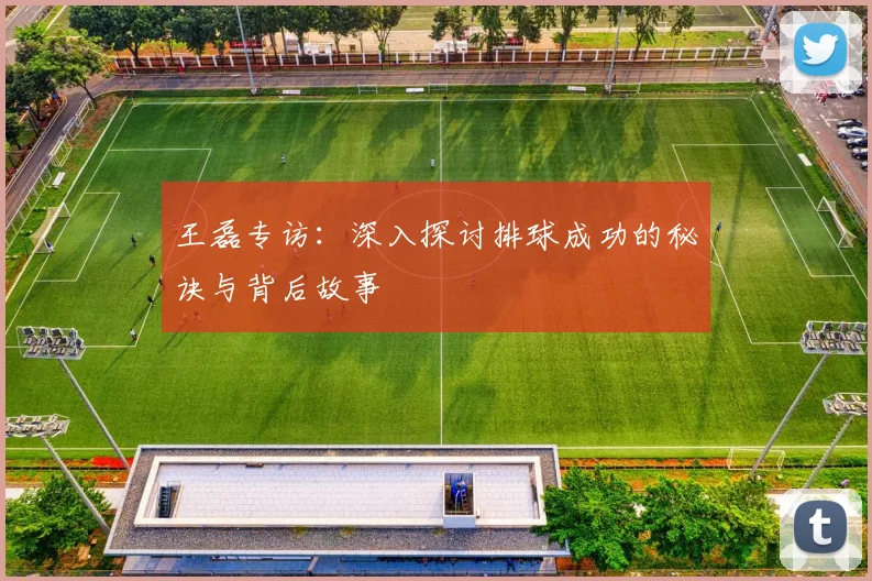 王磊专访：深入探讨排球成功的秘诀与背后故事