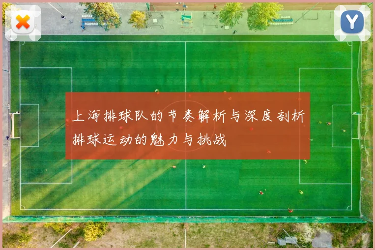 上海排球队的节奏解析与深度剖析排球运动的魅力与挑战