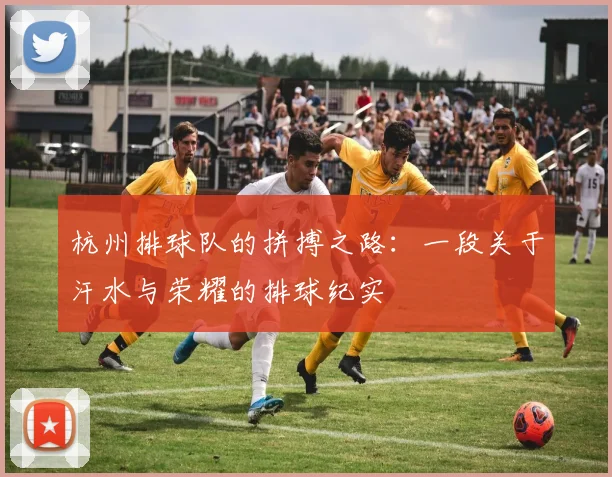 杭州排球队的拼搏之路：一段关于汗水与荣耀的排球纪实