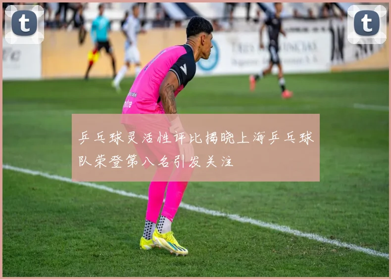 乒乓球灵活性评比揭晓上海乒乓球队荣登第八名引发关注