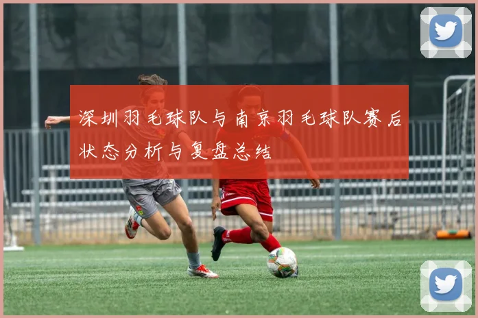 深圳羽毛球队与南京羽毛球队赛后状态分析与复盘总结