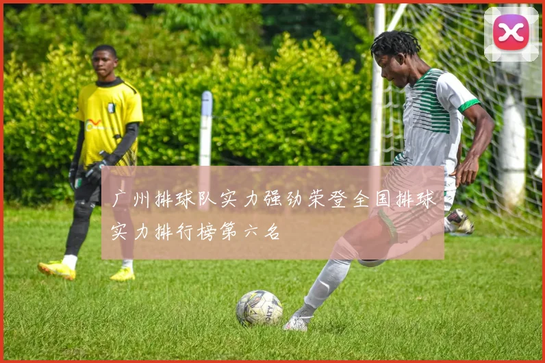 广州排球队实力强劲荣登全国排球实力排行榜第六名