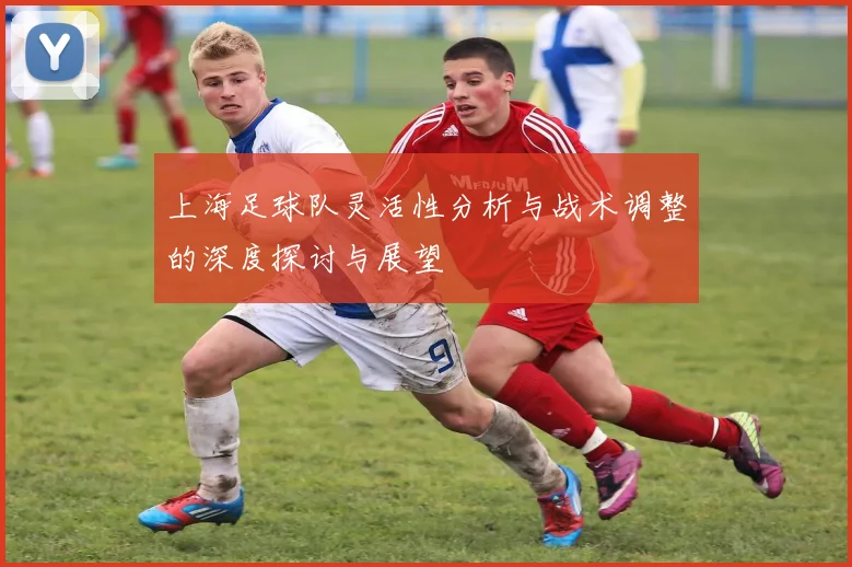 上海足球队灵活性分析与战术调整的深度探讨与展望
