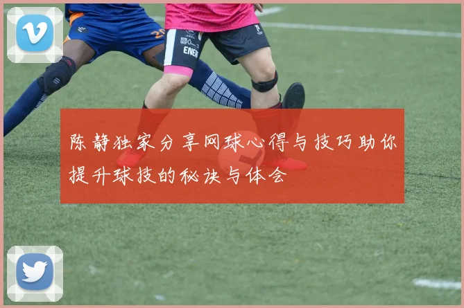 陈静独家分享网球心得与技巧助你提升球技的秘诀与体会