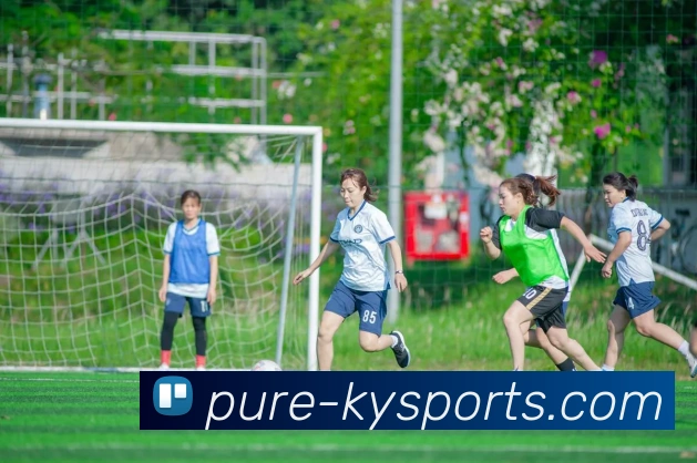 数据防护可视化